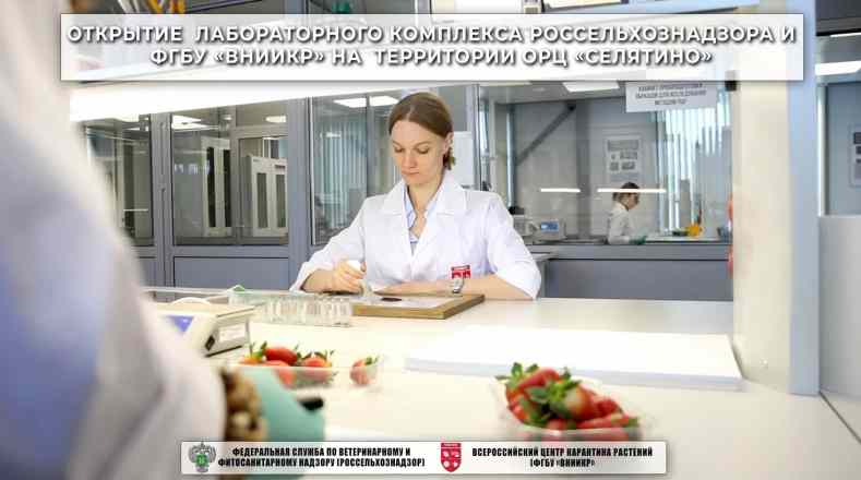 Открытие многофункционального лабораторного комплекса Россельхознадзора на территории агрохаба «Селятино»